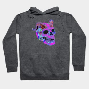 Skull T shirt Design Hoodie